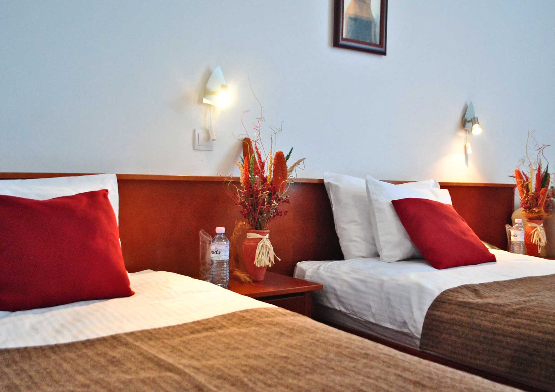 Hotel divčibare – mountain divcibare hotel twin soba 3